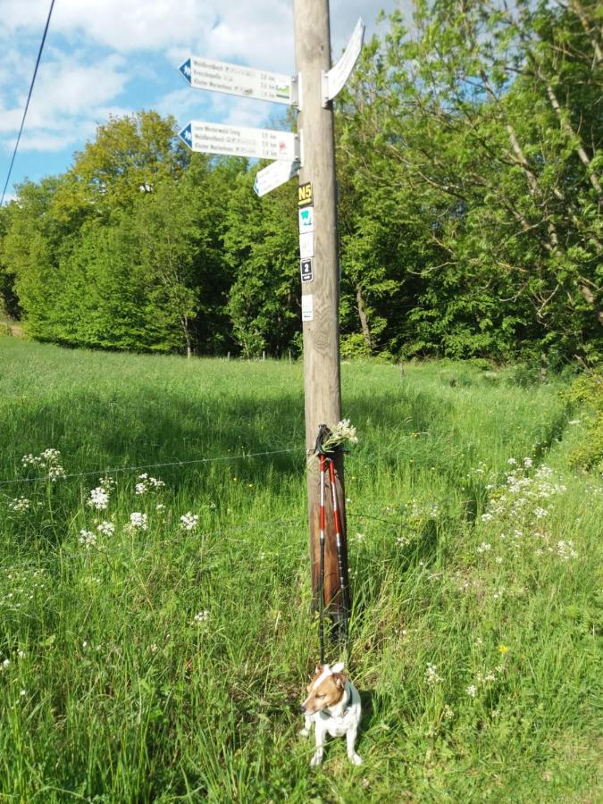 Ferienwohnung Momente Waldbreitbach エクステリア 写真